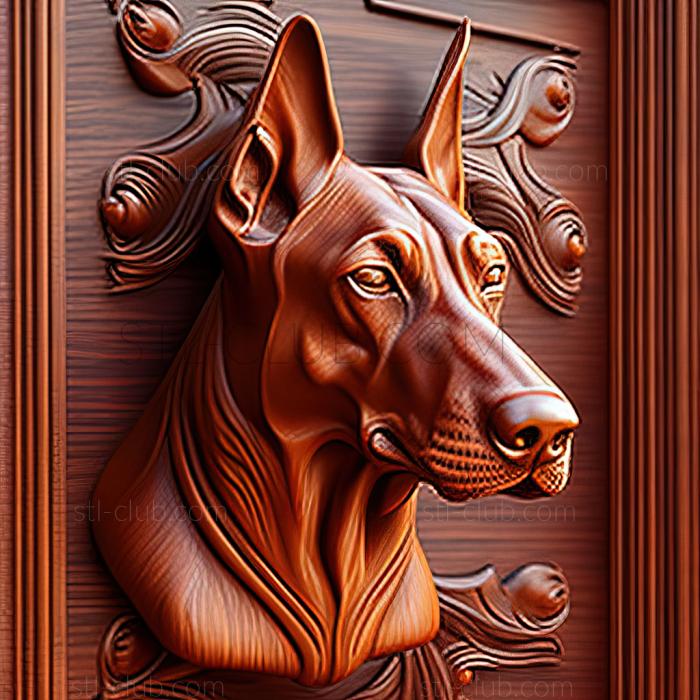 st Doberman dog